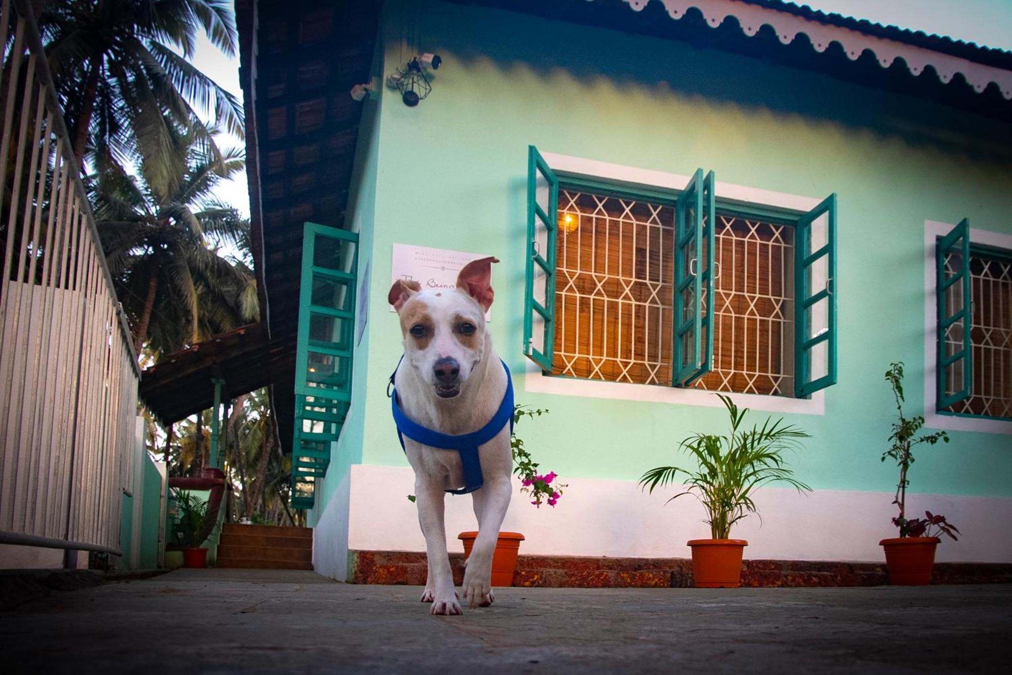 The Bungalow Bogmalo An 1880 Indo Portuguese Heritage Beach Villa South Goa Dış mekan fotoğraf