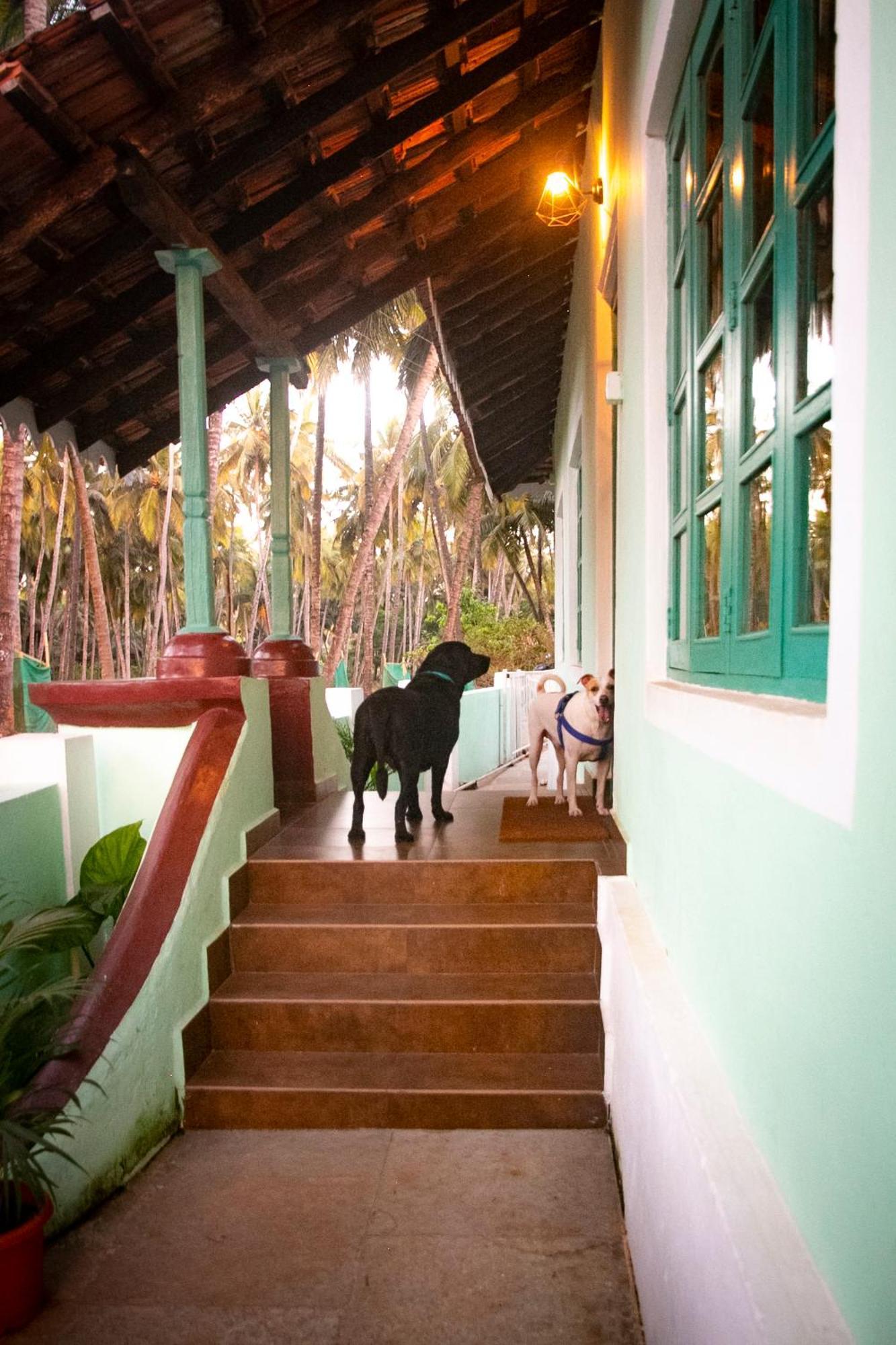 The Bungalow Bogmalo An 1880 Indo Portuguese Heritage Beach Villa South Goa Dış mekan fotoğraf